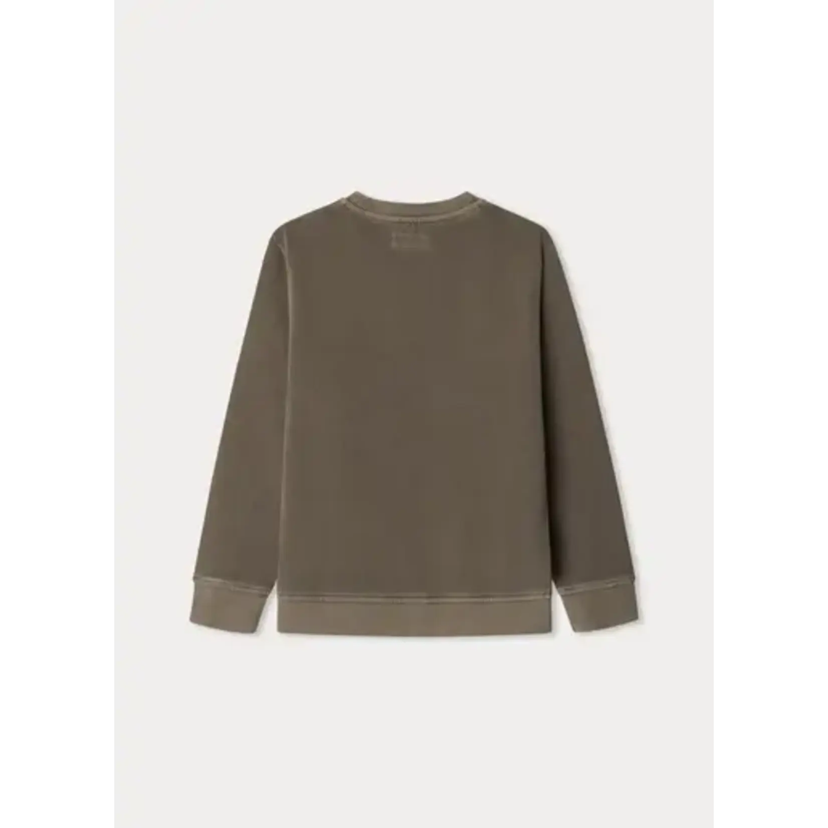 Hackett Hackett GMD HACKETT CREW WALNUT BROWN - HK5800003876K02