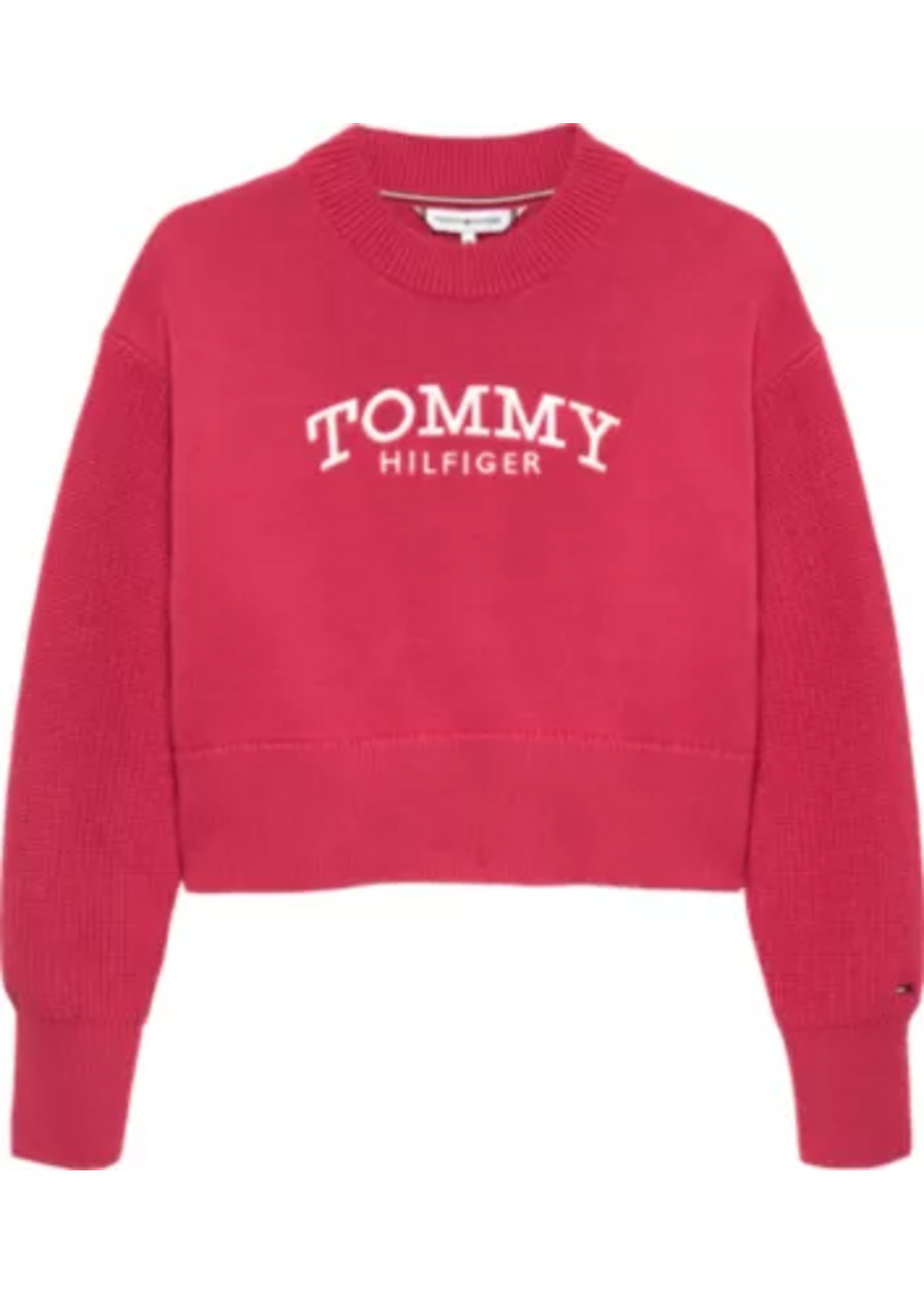 Tommy Hilfiger Tommy Hilfiger TOMMY SWEATER KG0KG08921XI5 VINTAGE CERISE