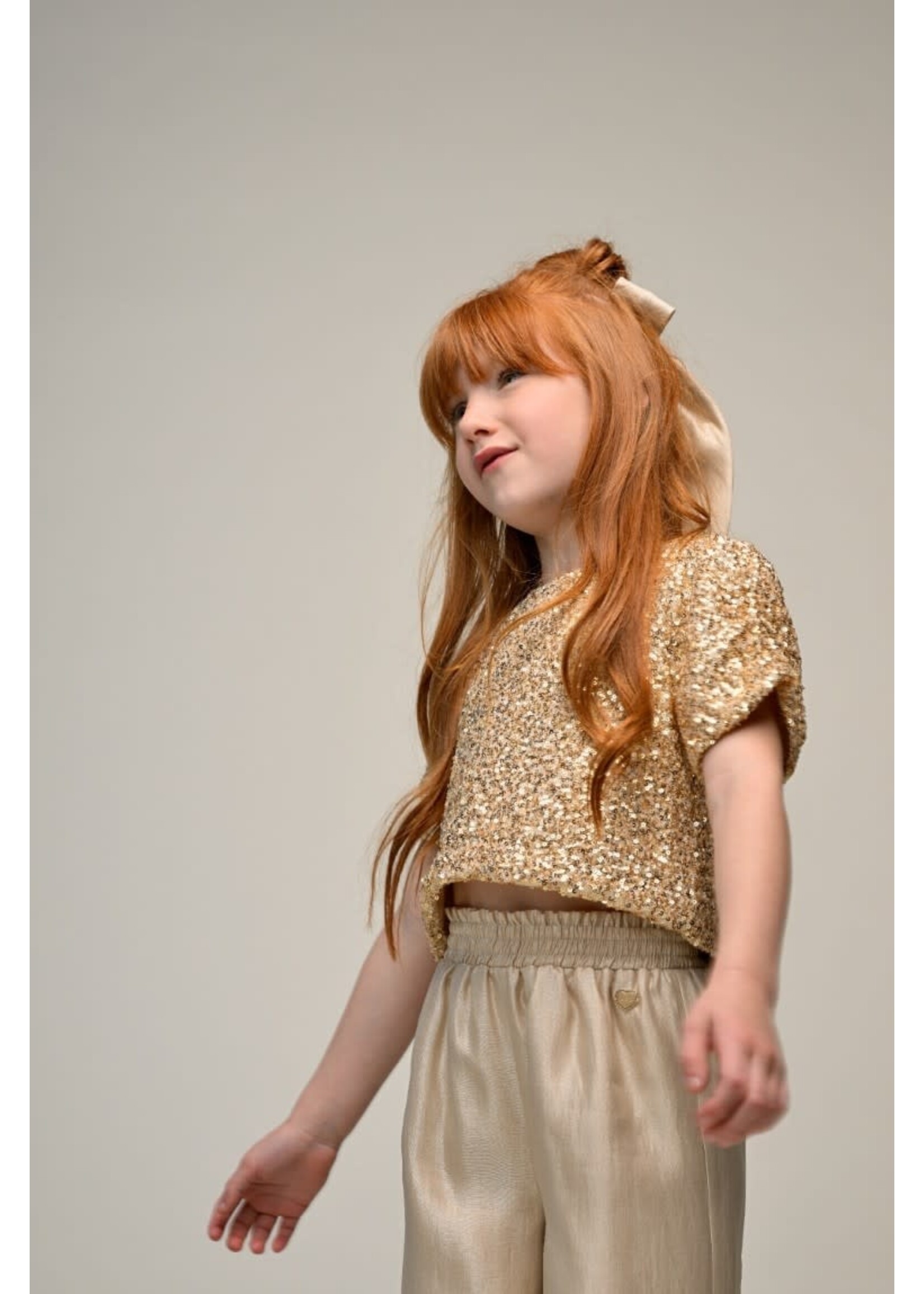 Le Chic Le Chic RANIA le Chic hairclip C511-5925 Golden Glow