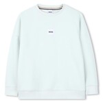 Boss Boss SWEATER J52965 SPRUIT GROEN