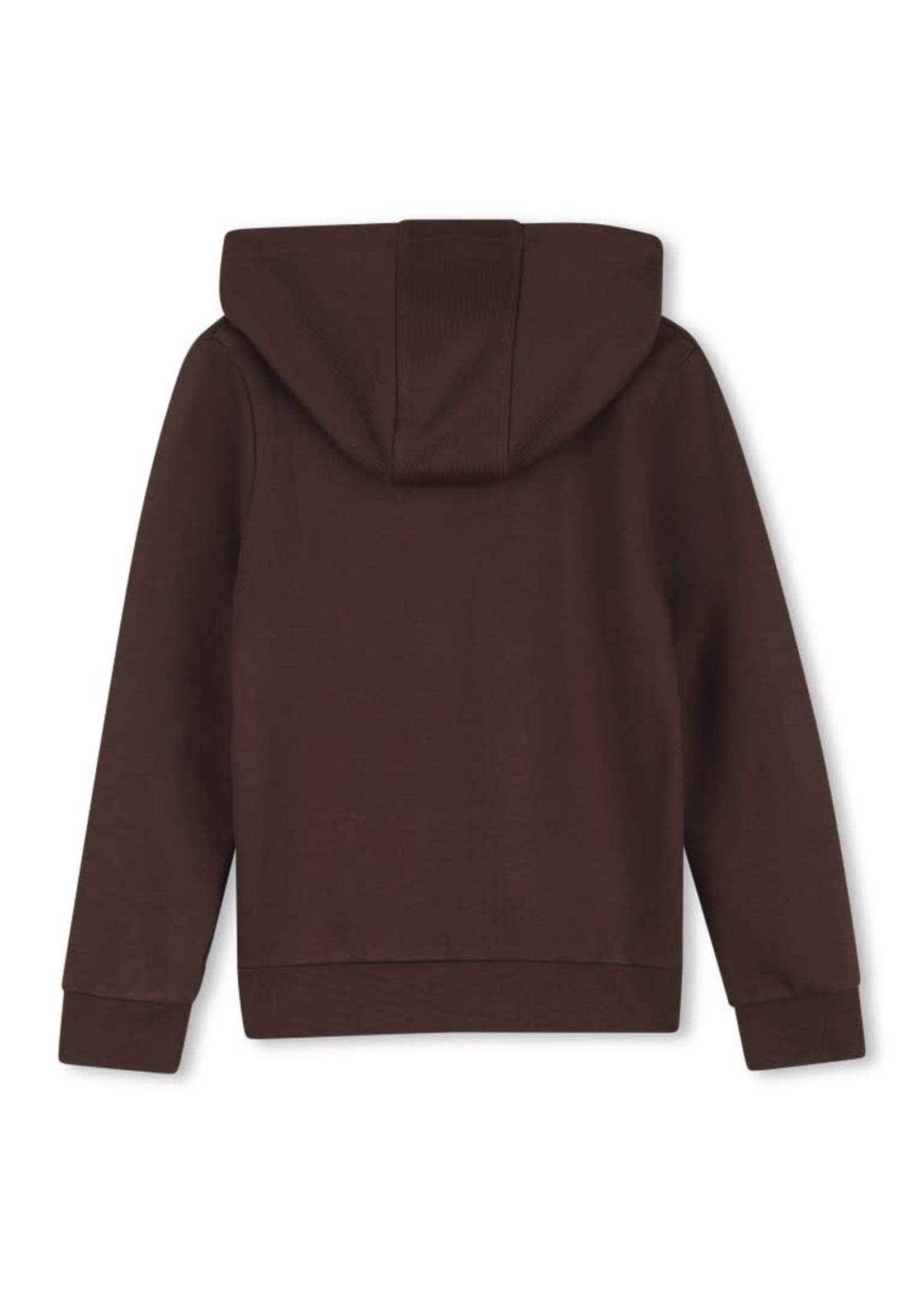 Boss Boss SWEATER-SHIRT MET KAP J53400 BRUIN