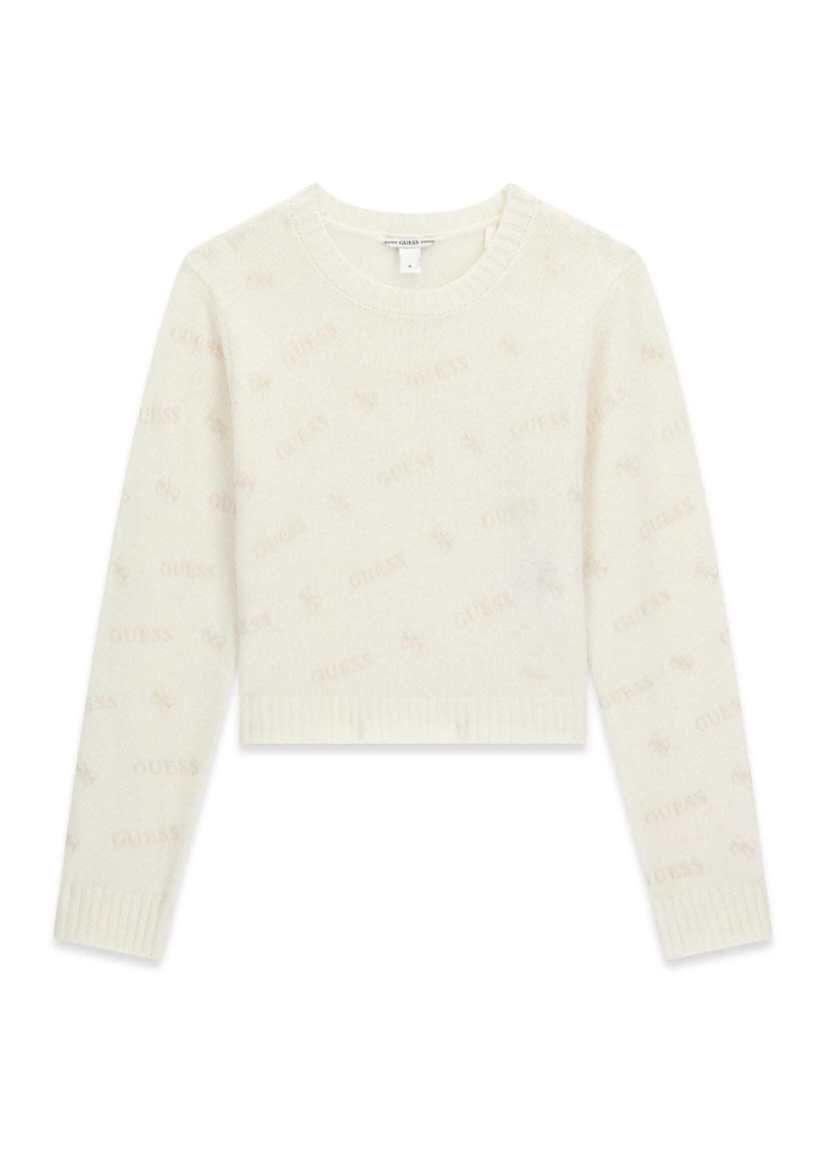 Guess Guess LS SWEATERS LOGO 4G FLOC AOP BEI - J6BR11_Z1345