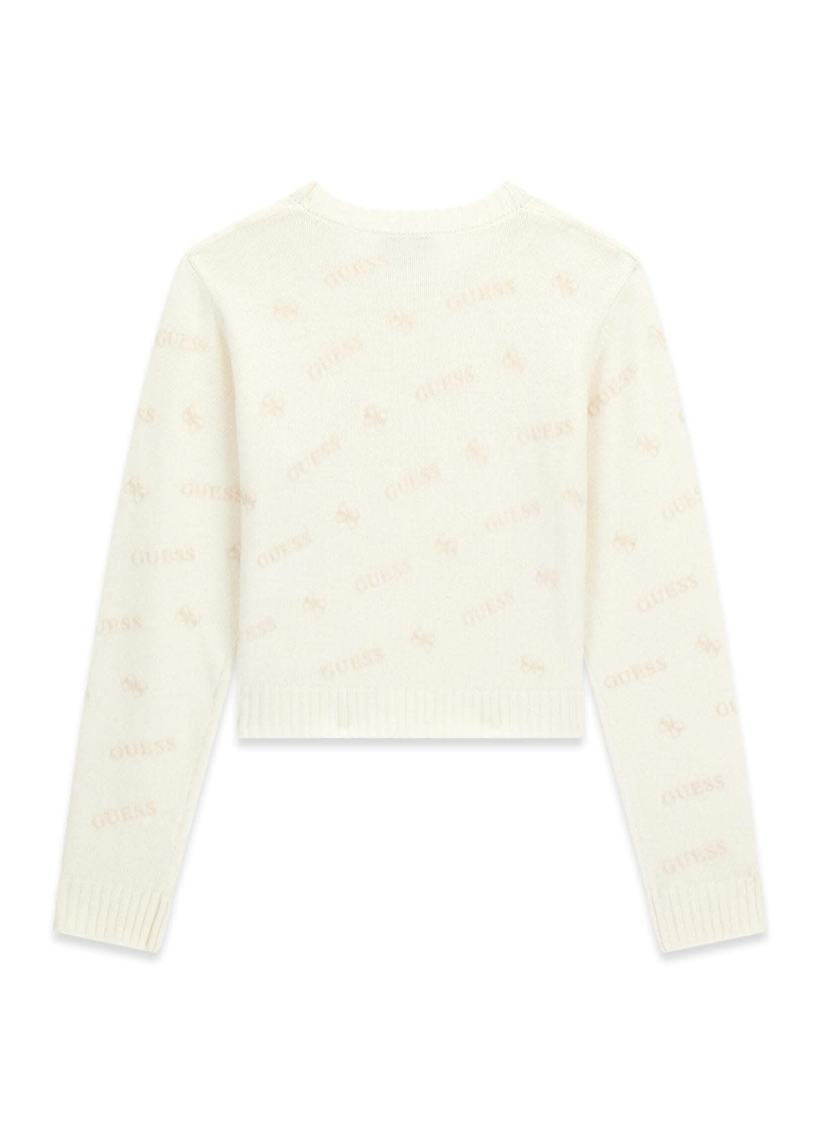 Guess Guess LS SWEATERS LOGO 4G FLOC AOP BEI - J6BR11_Z1345