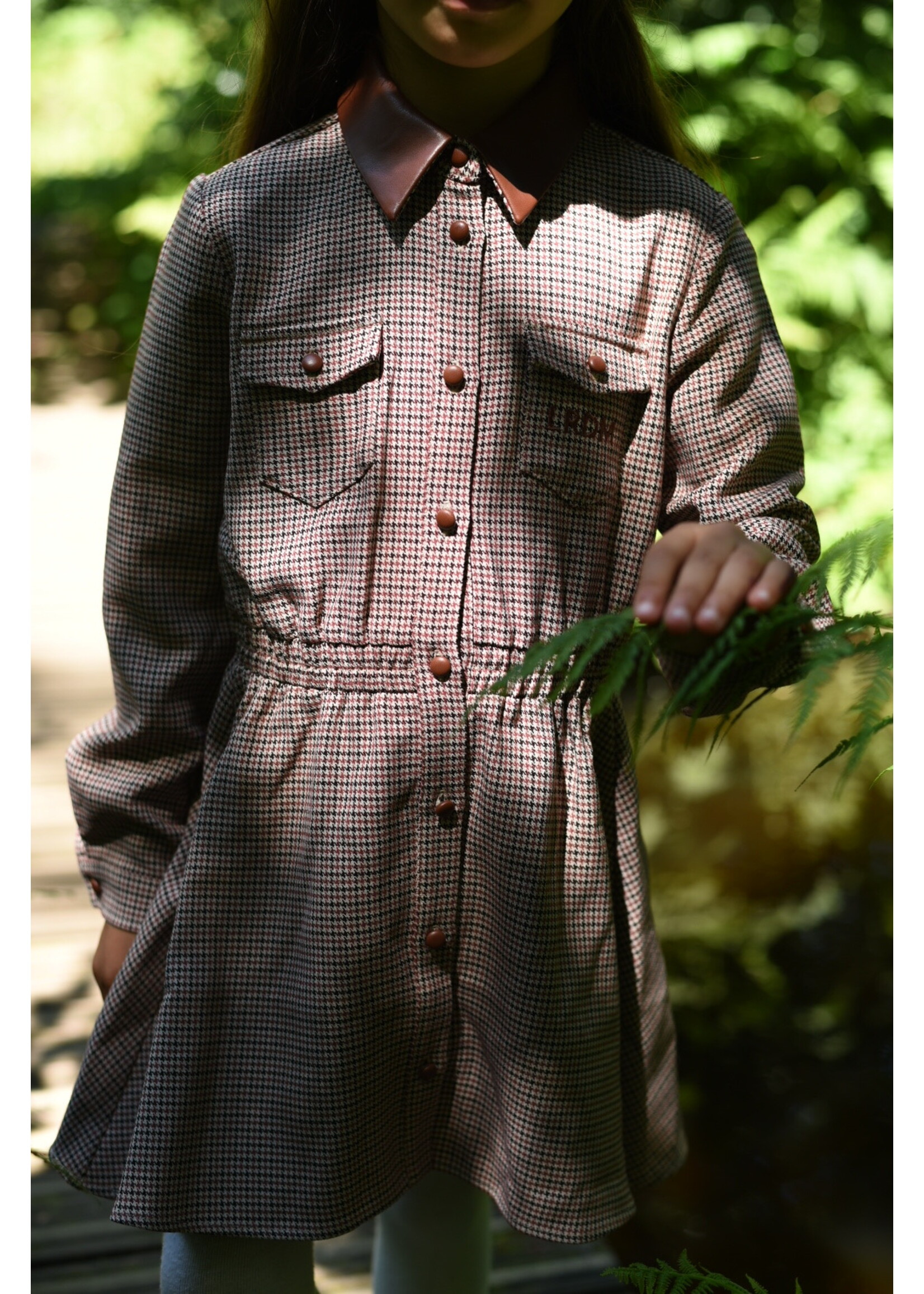 LRDM  Isabella Dress brown