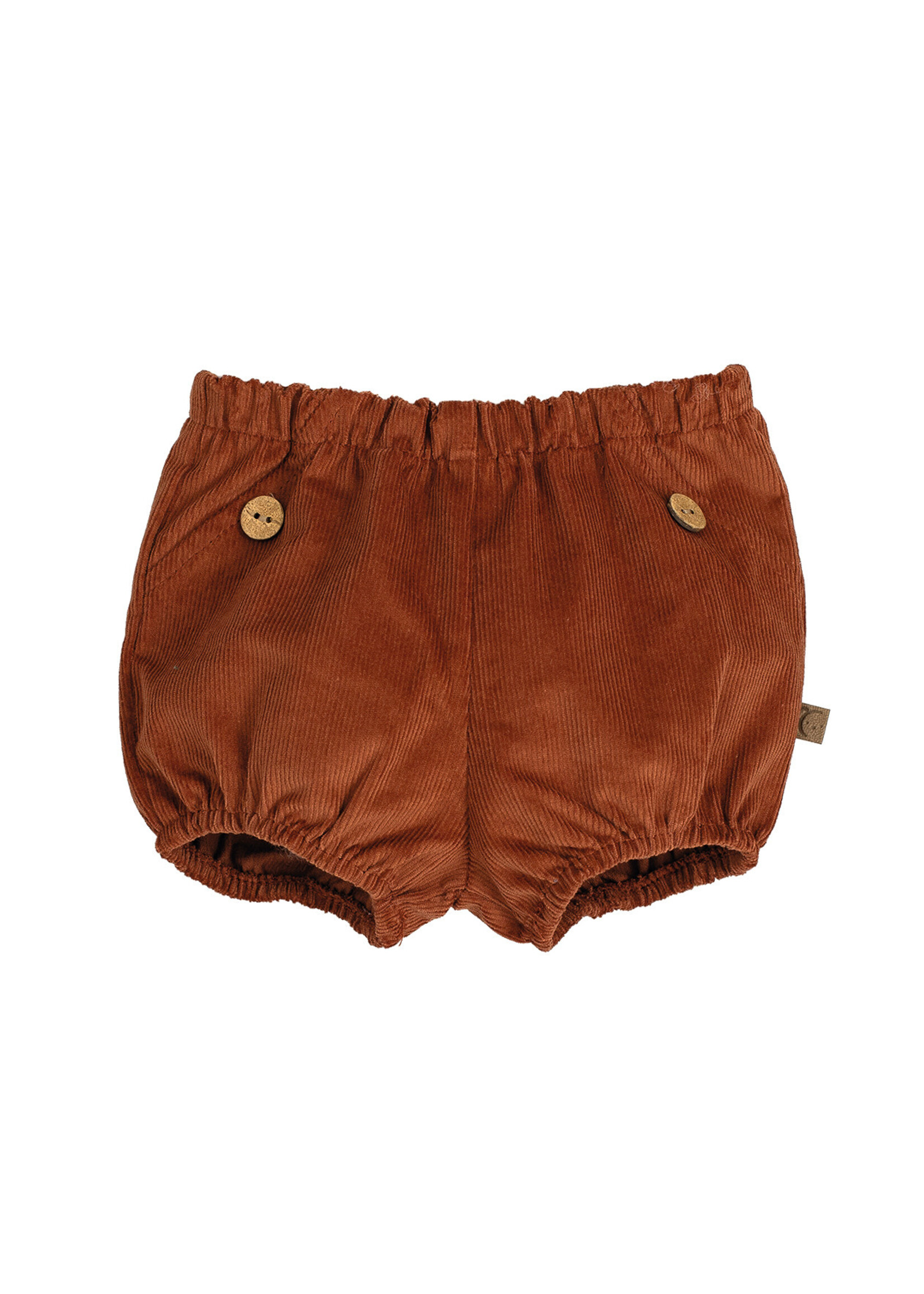 Calamaro Calamaro I Pololo Pampero Arena - 16067