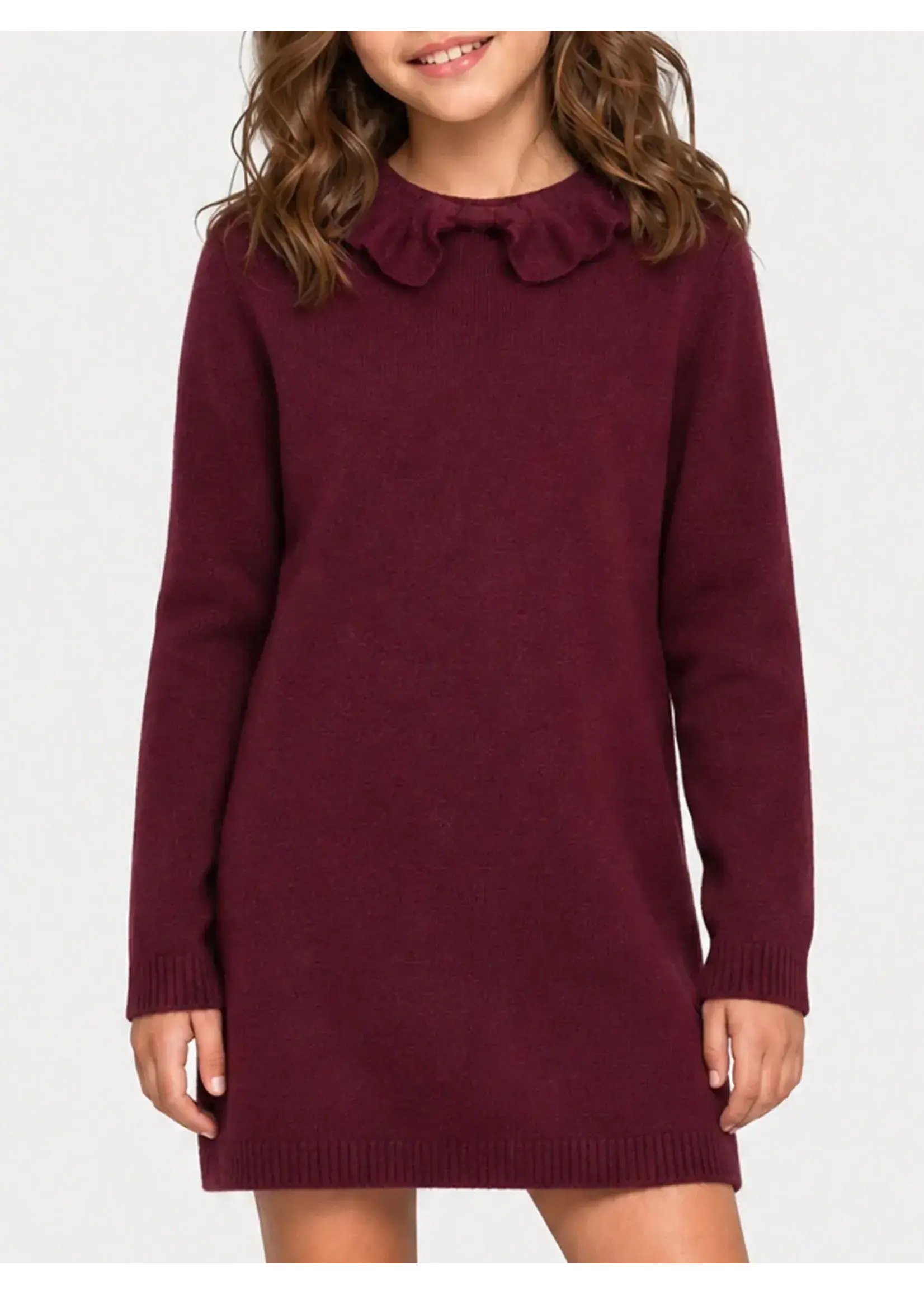 Nik&Nik Nik&Nik Joan Polo Dress Deep Burgundy G 7-333 2605