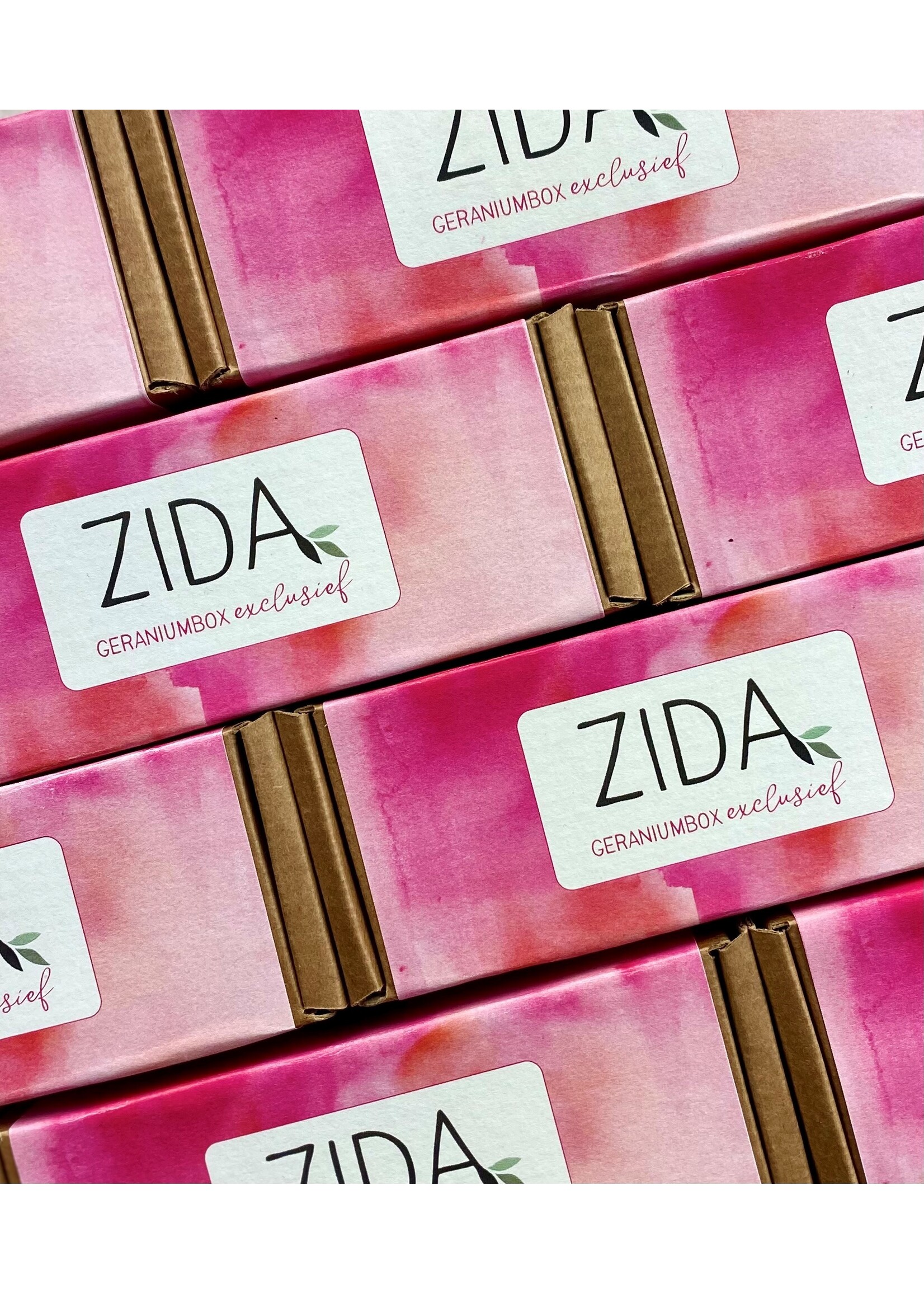 Exclusieve geranium box