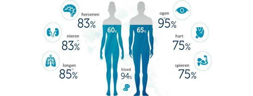 Waarom is water zo belangrijk voor ons lichaam?