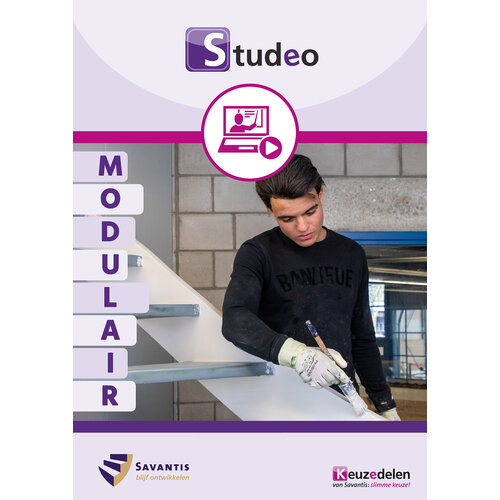 523005 - Modulair studentpakket Gezel Schilder - directe instroom (Studeo)