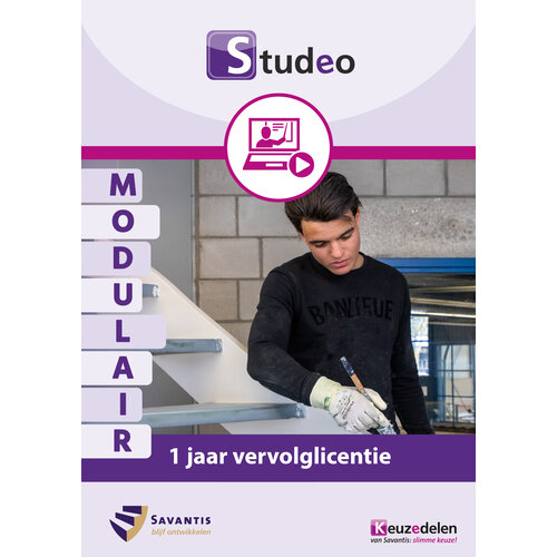 524013 - Modulair studentpakket Schilder en Gezel Schilder - Vervolglicentie 524013 - Modulair studentpakket Schilder en Gezel Schilder - Vervolglicentie