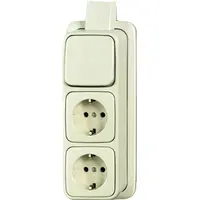 Busch-Jaeger combinatie wisselschakelaar/2x wandcontactdoos met randaarde K/P-25 opbouw AP plus creme (2601/6/2300/2 EAPJ)