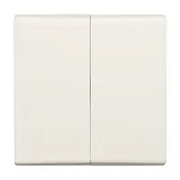 Busch-Jaeger schakelwip 2-voudig IP44 creme (2105-32)