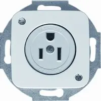 Busch-Jaeger wcd nema-15 3015euc-212 si (3015 EUC-212)