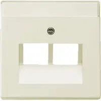 Busch-Jaeger centraalplaat RJ45 wandcontactdoos 2-voudig creme (1803-02-82)