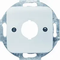 Busch-Jaeger inzpl 19mm 2534-212 inb si (2534-212)