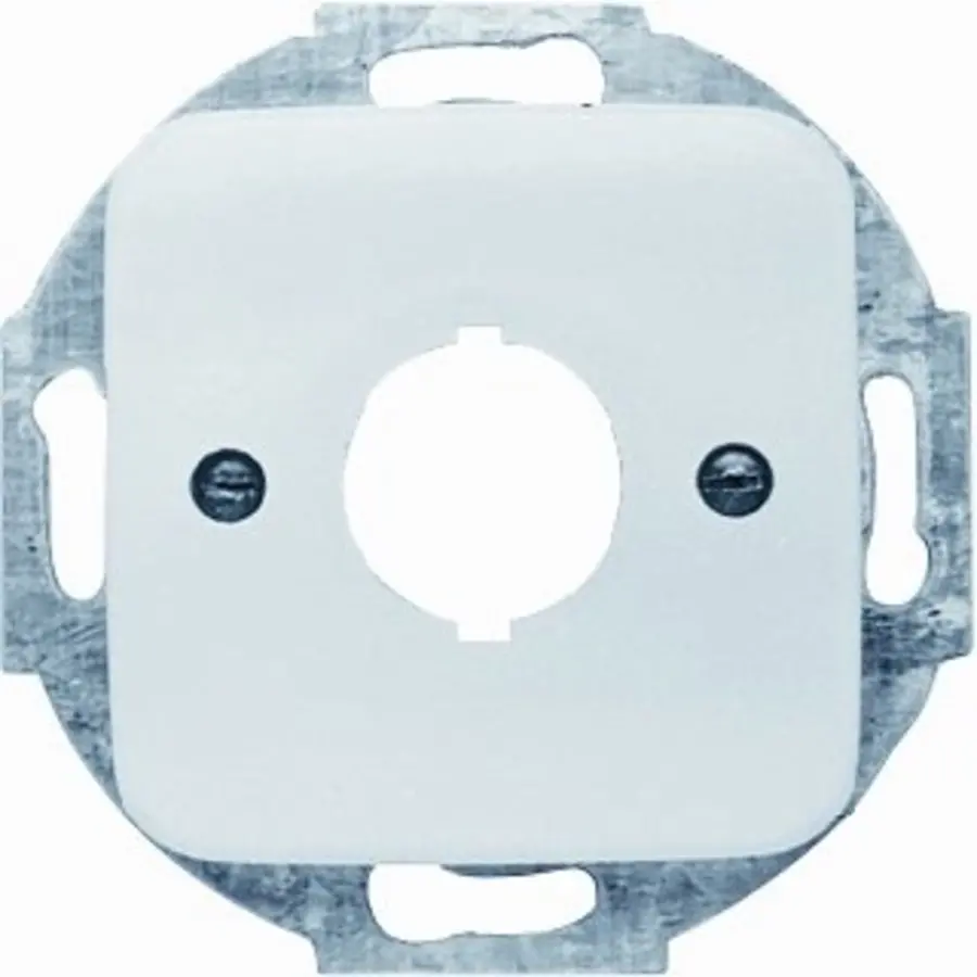 Busch-Jaeger inzpl 19mm 2534-212 inb si (2534-212)