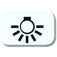 Busch-Jaeger lichtsymbool r-alpin (2525 LI-214)