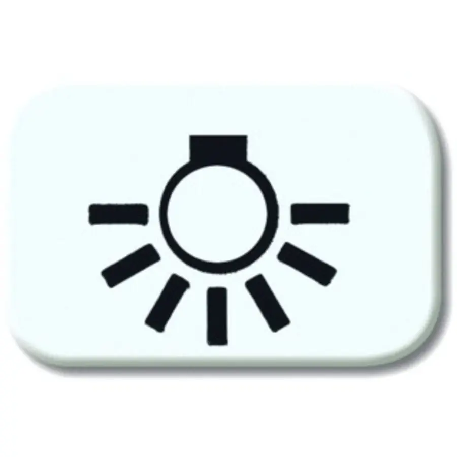 Busch-Jaeger lichtsymbool r-alpin (2525 LI-214)