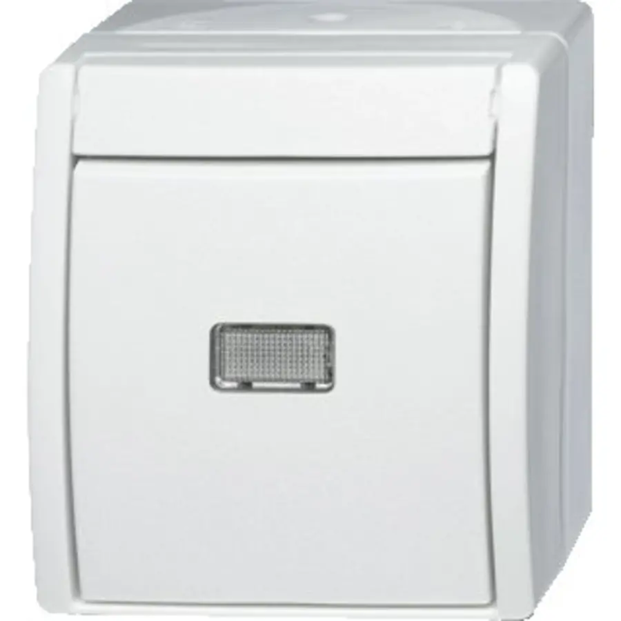 Busch-Jaeger impdrkcont 2621w-54-206 (2621 W-54-206)