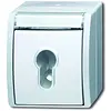 Busch-Jaeger sleutlschak opb ip44ocn-alp (2733 SLW-54)