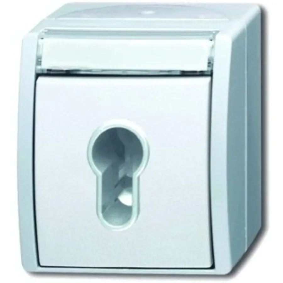 Busch-Jaeger sleutlschak opb ip44ocn-alp (2733 SLW-54)