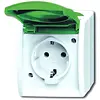 Busch-Jaeger tkstwcd ra kd grn opb alp (20 EWN-13-54)