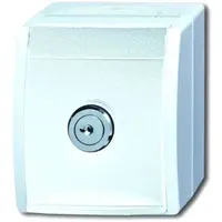 Busch-Jaeger wcd ra kd eenhdsslt ocn-alp (20 EWSL-101-54)