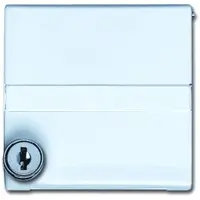Busch-Jaeger cpl+tekstkd+eenh slot verl (2118 GKSLN/11-34)
