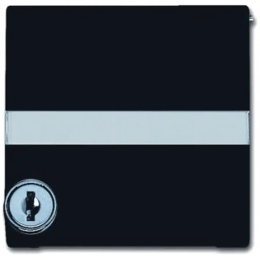 Busch-Jaeger cpl+tekstkd+eh.slot ver a-a (2118 GKSLN/11-35)