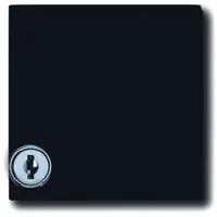 Busch-Jaeger cpl+tekstkd+slot ver si ant (2118 GKSLN-35)