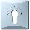 Busch-Jaeger cpl slot 2733usl101ip44 alu (2155 SLPZ-33)