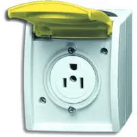 Busch-Jaeger tkstwcd kd 15a125v opb ocn (3015 EWN-53)