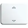 Busch-Jaeger toets jal contr skkl alb/s (6430-24G-102)