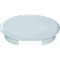 Busch-Jaeger blindplaat 5" audio (8229/3)