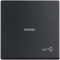 Busch-Jaeger schakelwip controlevenster symbool sleutel Future Linear zwart mat (1789 TR-885)