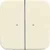 Busch-Jaeger wandzend 2k 6732-212 si wl (6732-212-500)