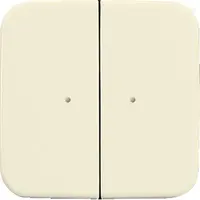 Busch-Jaeger wandzend 2k 6732-212 si wl (6732-212-500)
