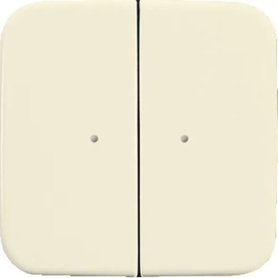 Busch-Jaeger wandzend 2k 6732-212 si wl (6732-212-500)