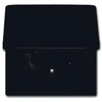 Busch-Jaeger wcd ra kd kv inb ip44 w brn (20 EUGKB-31-101)
