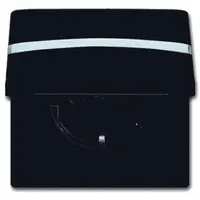 Busch-Jaeger wcd ra tkstkd kv inb brn (20 EUGKBN-31-101)