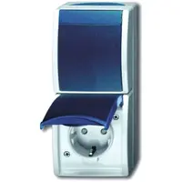 Busch-Jaeger combinatie schakelaar/wandcontactdoos kindveilig Ocean IP44 grijs/blauw (2601/6/20 EBW-53)