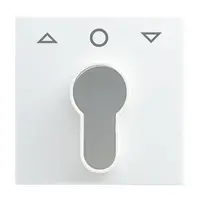 Busch-Jaeger afdekking met pijlsymbolen voor inbouwsleutelschakelaar Balance SI (2557 PZ-914-101)