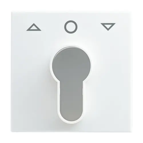 Busch-Jaeger afdekking met pijlsymbolen voor inbouwsleutelschakelaar Balance SI (2557 PZ-914-101)