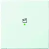 Busch-Jaeger bedieningswip 1-voudig met symbool scene tbv bedieningselement flex Future Linear studiowit glans (6233-10-84)