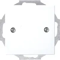 Busch-Jaeger inzpl 19mm bsi (2534-914)