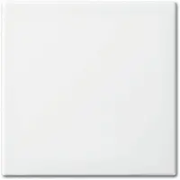 Busch-Jaeger schakelwip enkel Balance SI wit glans (2506-914)