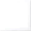 Busch-Jaeger inzpl infoli bsi (2562-914)