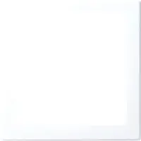 Busch-Jaeger inzpl infoli bsi (2562-914)