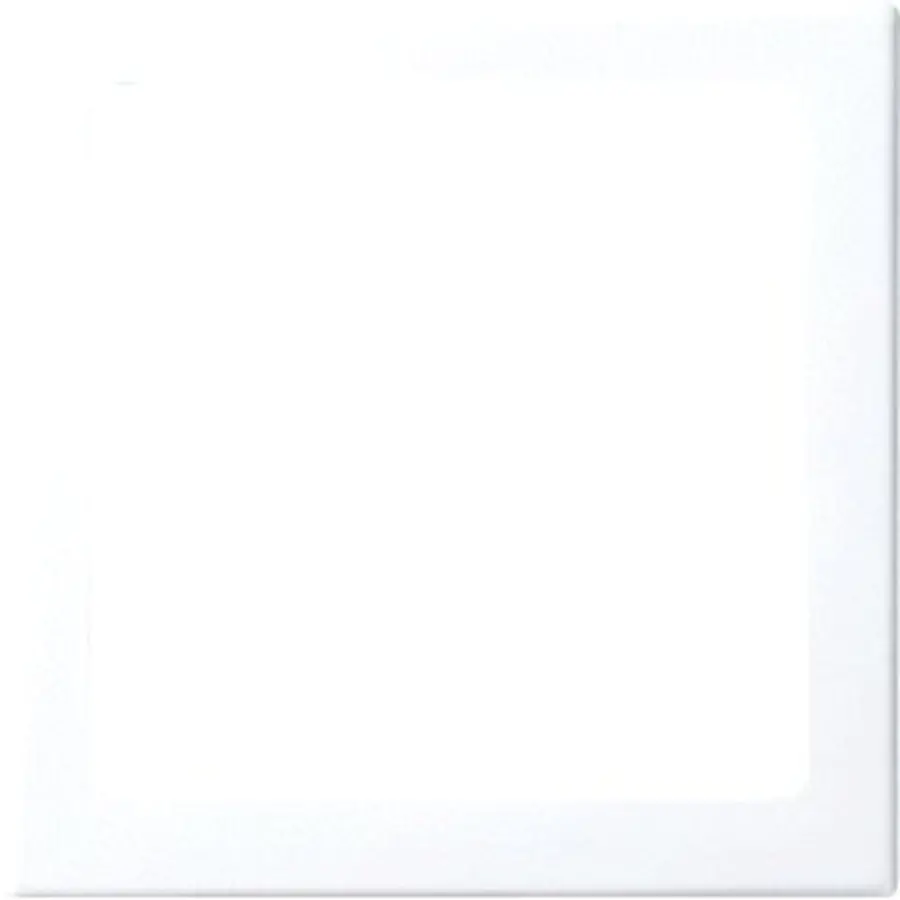 Busch-Jaeger inzpl infoli bsi (2562-914)