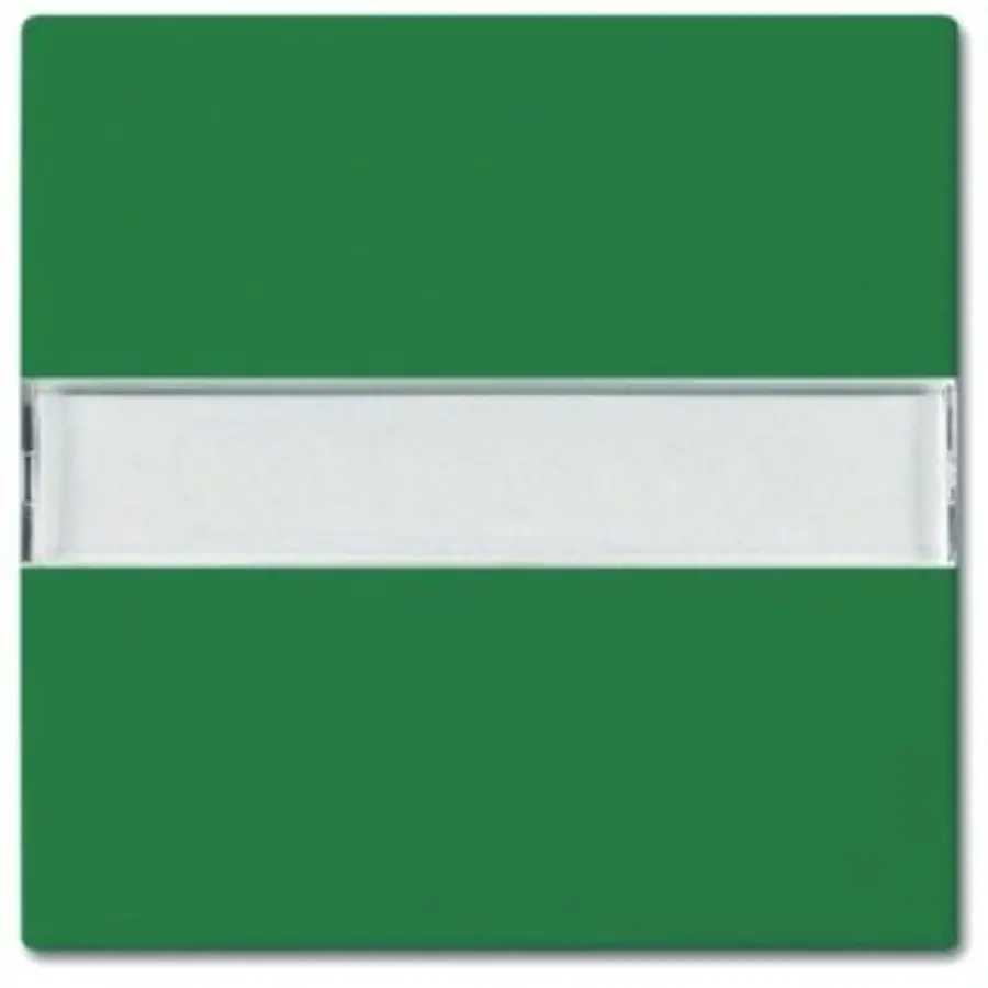 Busch-Jaeger tkstwip lns wis krs pls grn (2510 NLI-13-914)